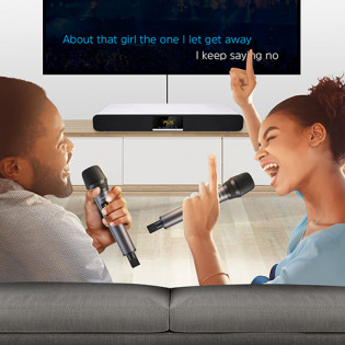 Punos Home Karaoke Sound System